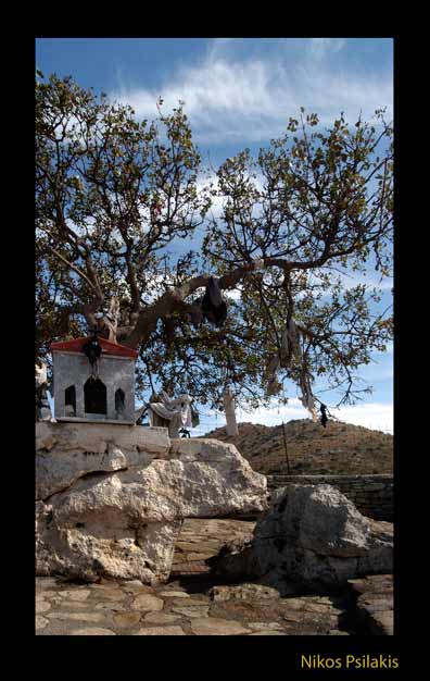 Δεντρολατρία, τρυποπέρασμα, ιερό δέντρο Αχλαδέ